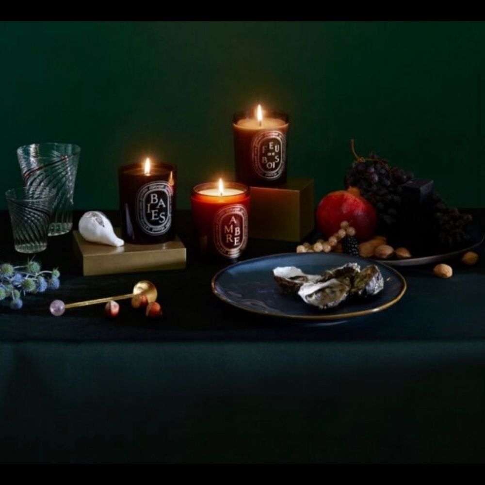 ♥️ Diptyque Feu de Bois / Wood Fire Candle smoked glass candle CONTAINER…